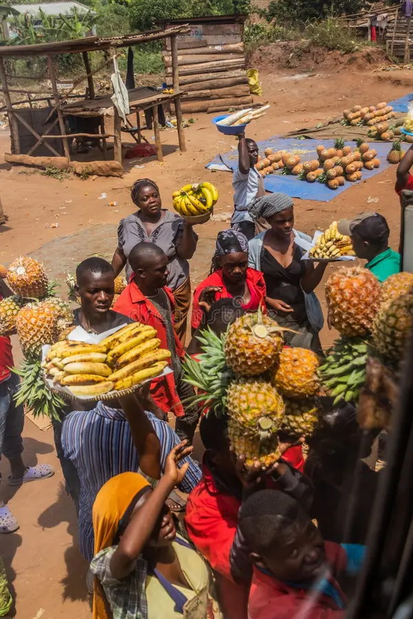 <Digimax S500 / Kenox S500 / Digimax Cyber 530>